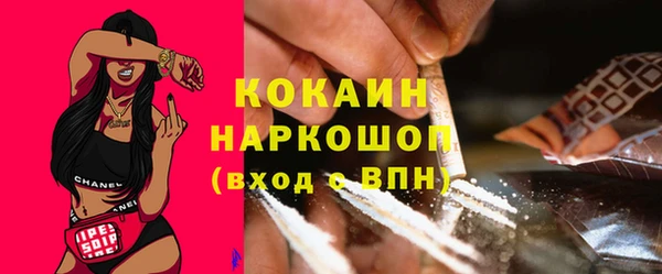 шишки Баксан