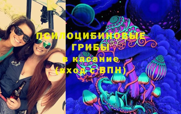шишки Баксан