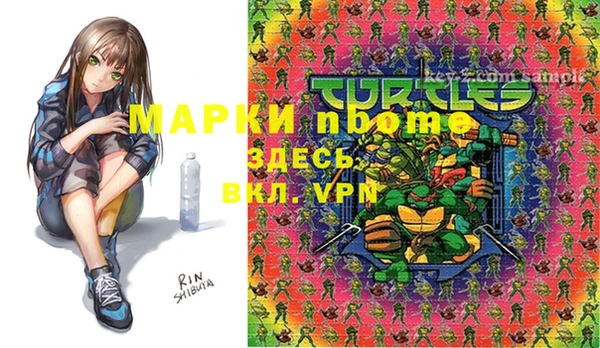 шишки Баксан
