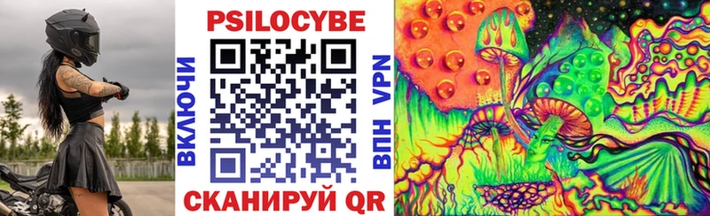 мега вход  Славгород  сайты даркнета наркотические препараты  Галлюциногенные грибы прущие грибы 
